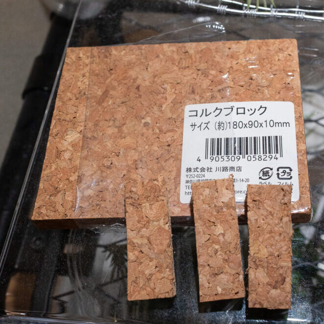 小型チランジア着生に使うコルクブロック(板)